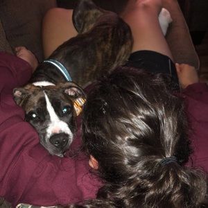 Meet your Posher, Hannah